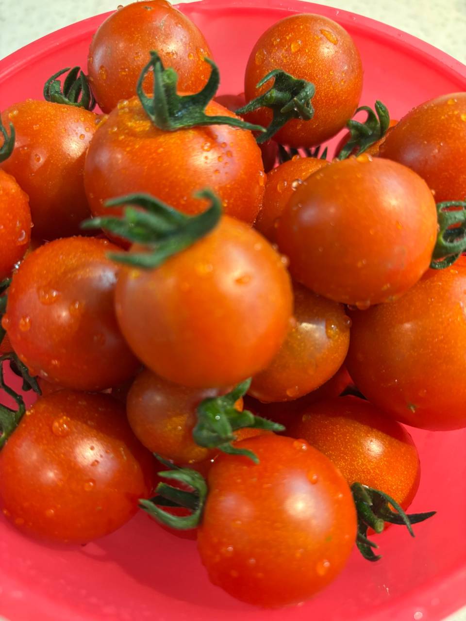 ミニトマト　中玉トマト　小笠原農園　西尾　西尾市　道の駅にしお岡ノ山