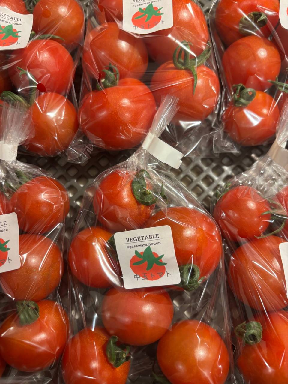 ミニトマト　中玉トマト　産直　道の駅にしお岡ノ山　西尾　減農薬