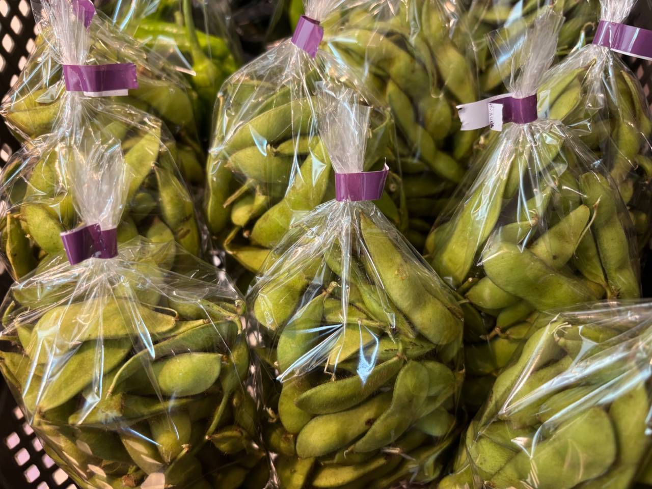 黒豆　黒大豆　西尾　西尾市　産直　道の駅にしお岡ノ山　秋の味覚