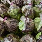 HSTチャリティー祭り　岡崎　甲山会館　マルシェ　西尾市農業